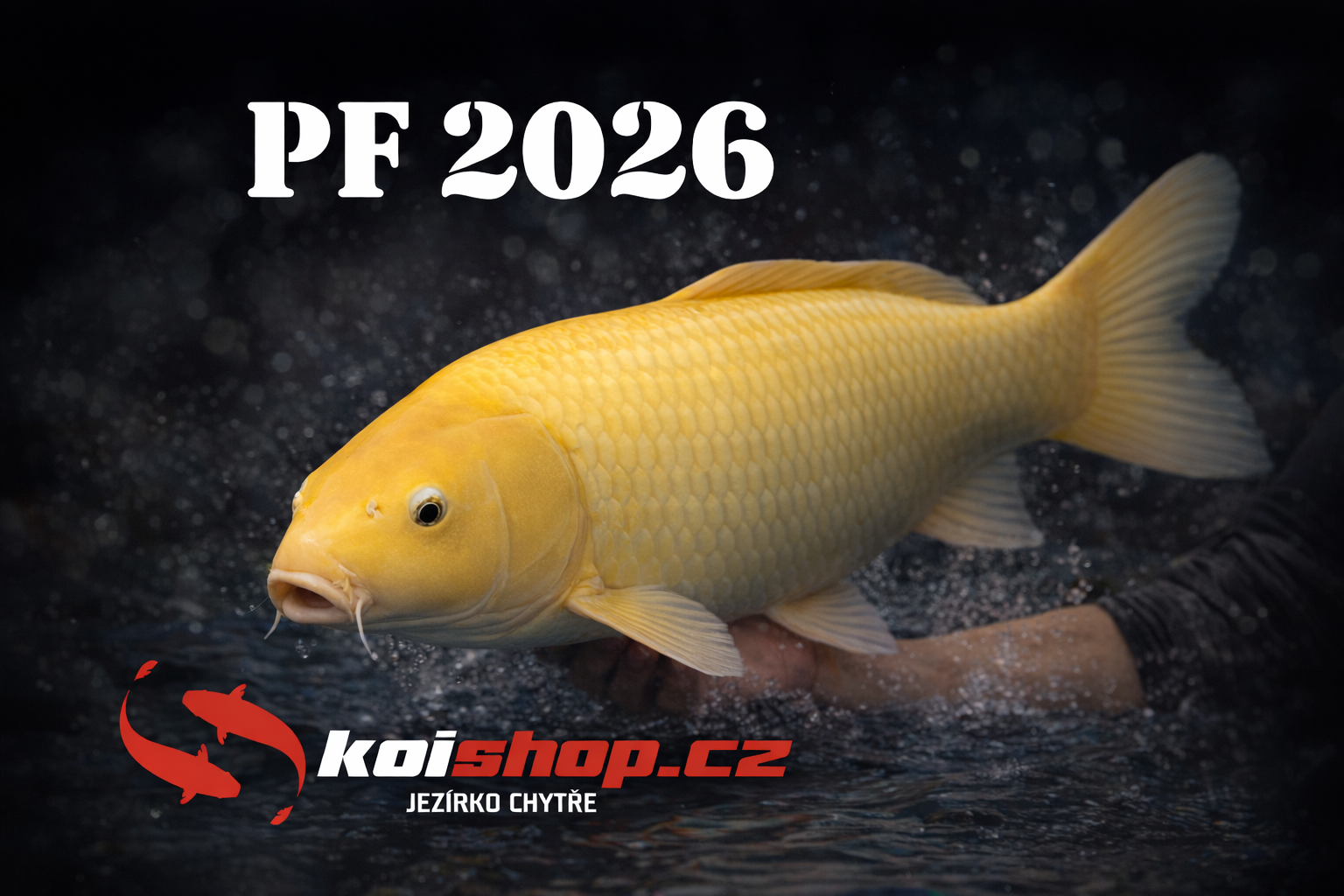 Všem našim zákazníkům děkujeme za přízeň a nejen jim, ale i všem ostatním přejeme krásné a klidné Vánoce a mnoho zdraví a štěstí v novém roce 2026! 